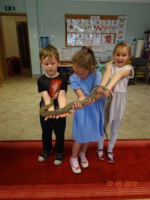 Grafika #1: Cyrk HECA w przedszkolu cz. V