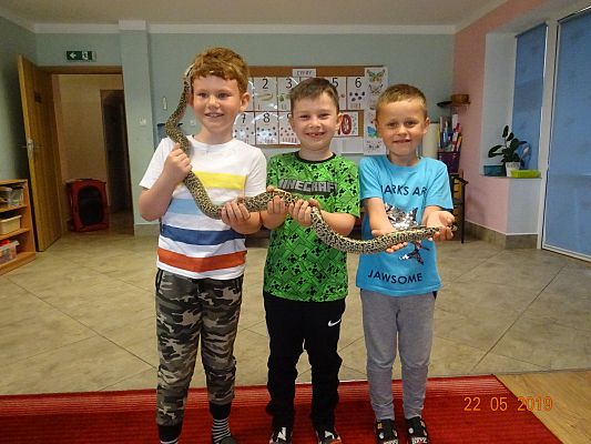 Grafika #3: Cyrk HECA w przedszkolu cz. V