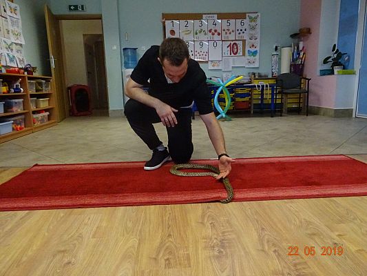 Grafika #7: Cyrk HECA w przedszkolu cz. IV