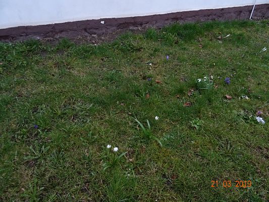 Grafika #7: Żegnaj Marzanno, ty zimowa panno cz. II