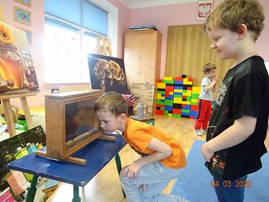 Grafika #2: Warsztaty pszczelarskie cz. V