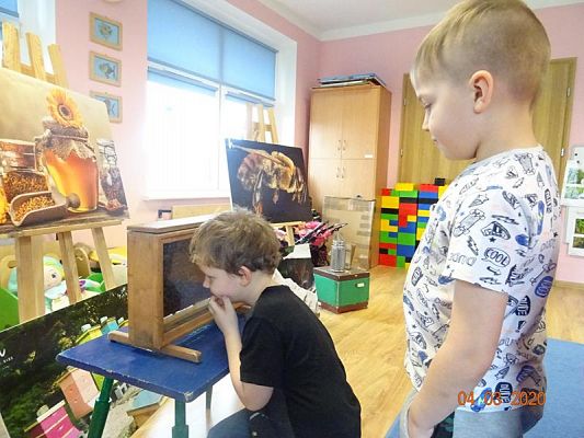 Grafika #3: Warsztaty pszczelarskie cz. V