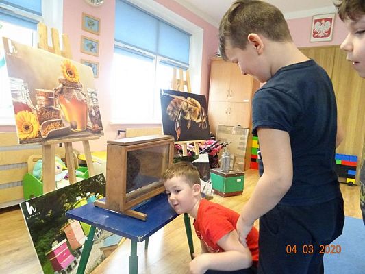 Grafika #4: Warsztaty pszczelarskie cz. V