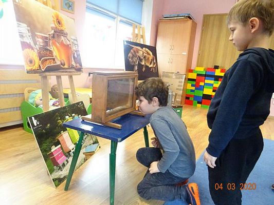 Grafika #5: Warsztaty pszczelarskie cz. V