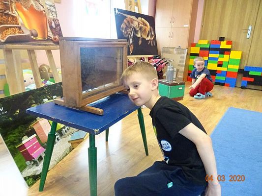 Grafika #6: Warsztaty pszczelarskie cz. V