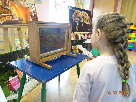 Grafika #1: Warsztaty pszczelarskie cz. IV