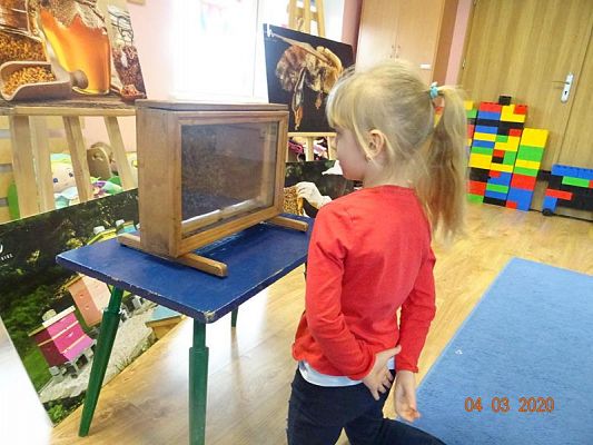 Grafika #2: Warsztaty pszczelarskie cz. IV