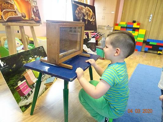 Grafika #3: Warsztaty pszczelarskie cz. IV