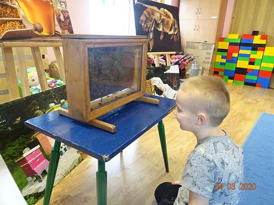 Grafika #4: Warsztaty pszczelarskie cz. IV