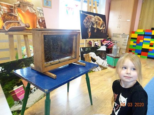 Grafika #5: Warsztaty pszczelarskie cz. IV