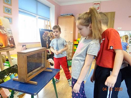 Grafika #8: Warsztaty pszczelarskie cz. IV