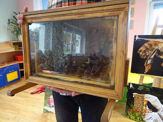 Grafika #5: Warsztaty pszczelarskie cz. III