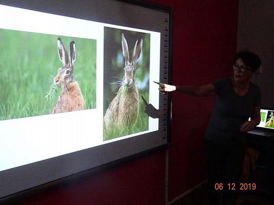 Grafika #3: Zajęcia przyrodnicze cz. I