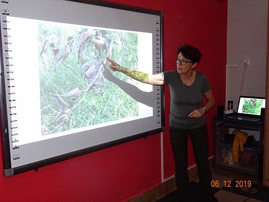 Grafika #4: Zajęcia przyrodnicze cz. I