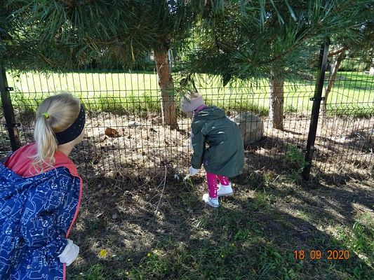 Grafika #8: Sprzątanie Świata gr. II