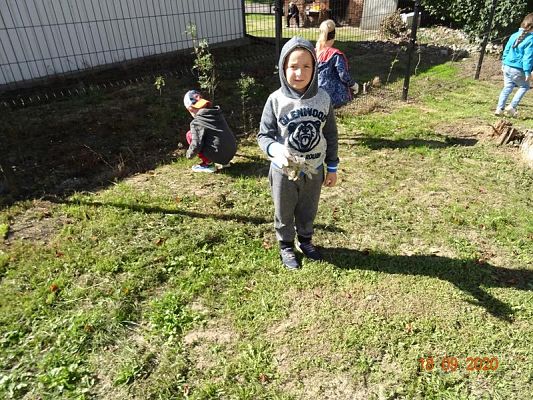 Grafika #10: Sprzątanie Świata gr. II