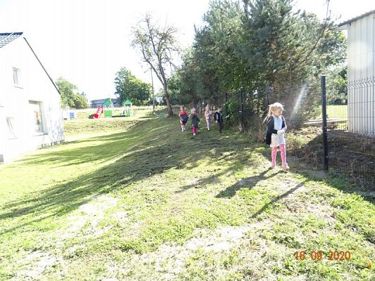 Grafika #11: Sprzątanie Świata gr. II