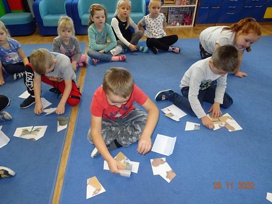 Grafika #21: Dzień Pluszowego Misia gr. I Motylki