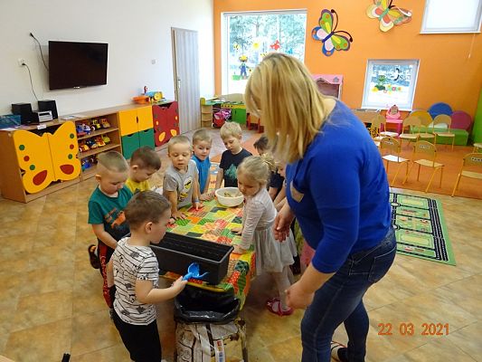 Grafika #4: Szczypiorek w roli głównej. maluszki sadzą cebulkę