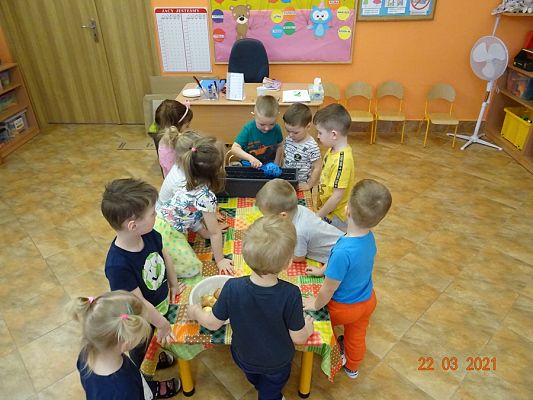 Grafika #5: Szczypiorek w roli głównej. maluszki sadzą cebulkę