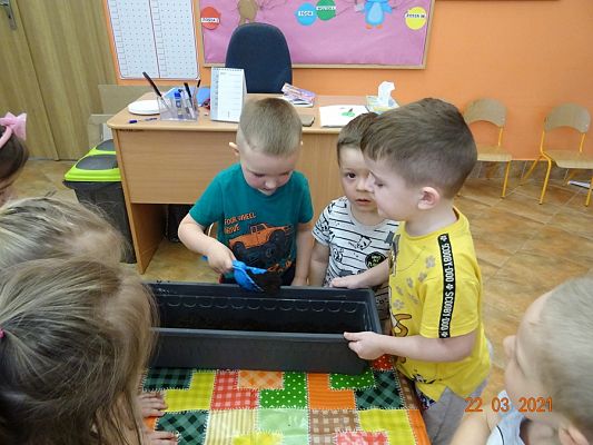 Grafika #6: Szczypiorek w roli głównej. maluszki sadzą cebulkę