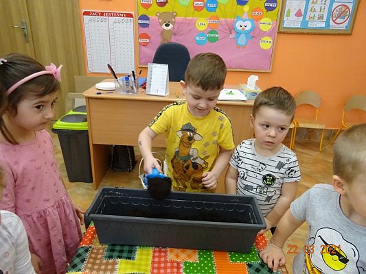 Grafika #8: Szczypiorek w roli głównej. maluszki sadzą cebulkę