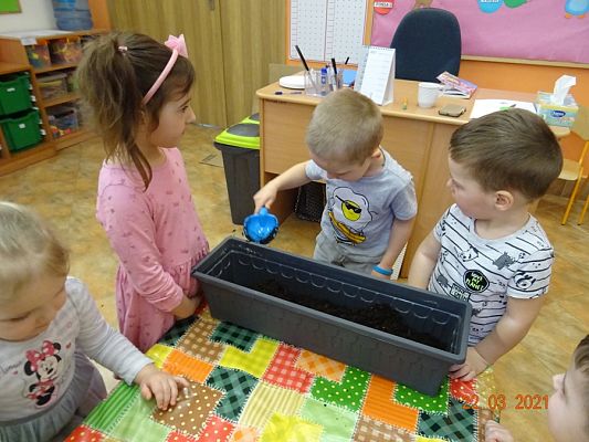 Grafika #9: Szczypiorek w roli głównej. maluszki sadzą cebulkę