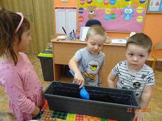 Grafika #10: Szczypiorek w roli głównej. maluszki sadzą cebulkę