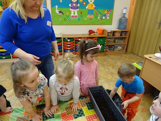 Grafika #11: Szczypiorek w roli głównej. maluszki sadzą cebulkę