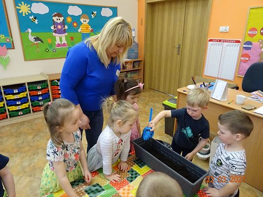 Grafika #12: Szczypiorek w roli głównej. maluszki sadzą cebulkę