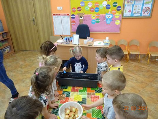 Grafika #13: Szczypiorek w roli głównej. maluszki sadzą cebulkę