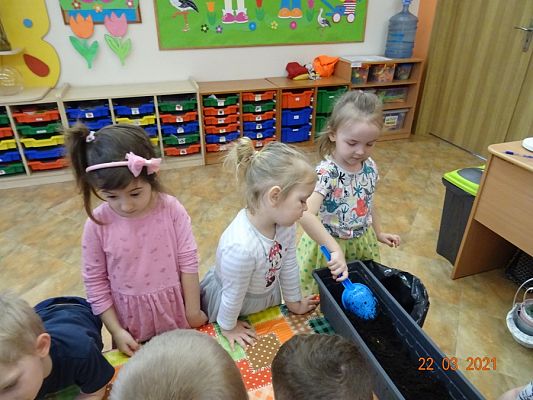 Grafika #16: Szczypiorek w roli głównej. maluszki sadzą cebulkę