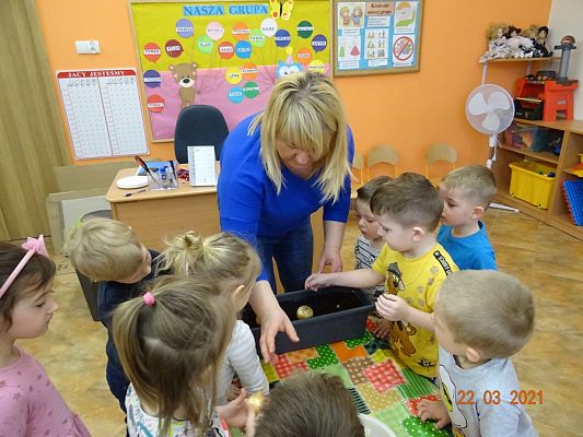 Grafika #19: Szczypiorek w roli głównej. maluszki sadzą cebulkę