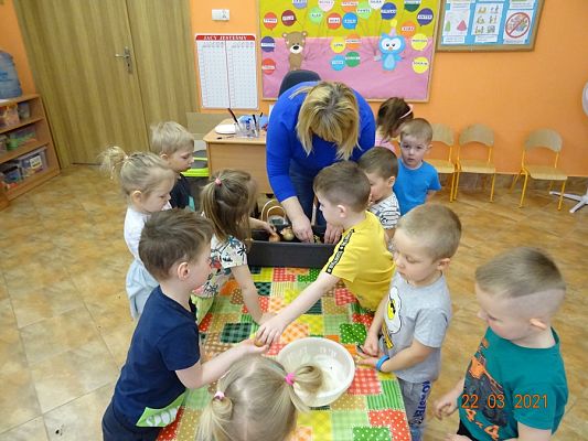 Grafika #20: Szczypiorek w roli głównej. maluszki sadzą cebulkę