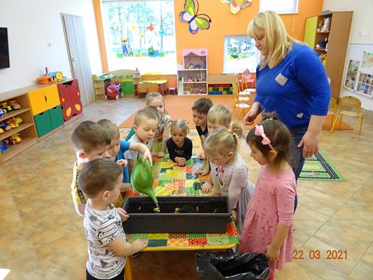 Grafika #21: Szczypiorek w roli głównej. maluszki sadzą cebulkę