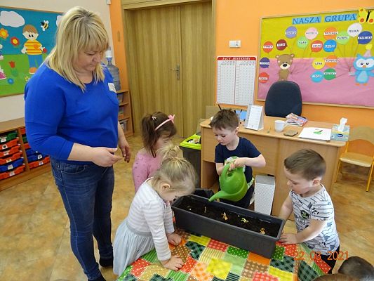 Grafika #22: Szczypiorek w roli głównej. maluszki sadzą cebulkę