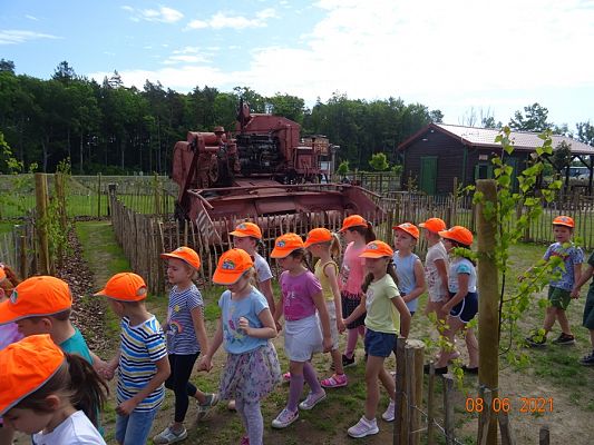 Grafika #1: Wycieczka na Farmę Alexa cz. I