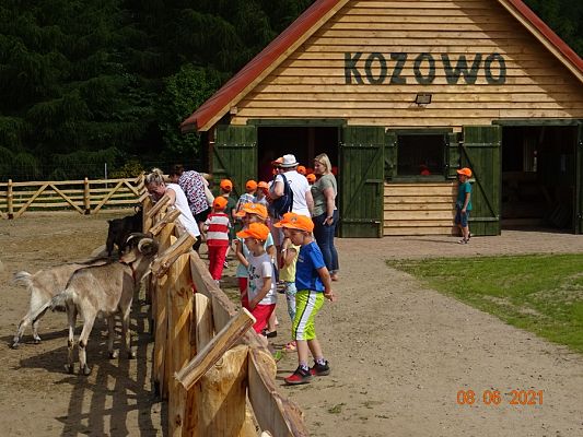 Grafika #3: Wycieczka na Farmę Alexa cz. I