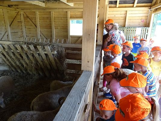 Grafika #4: Wycieczka na Farmę Alexa cz. I