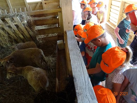 Grafika #5: Wycieczka na Farmę Alexa cz. I