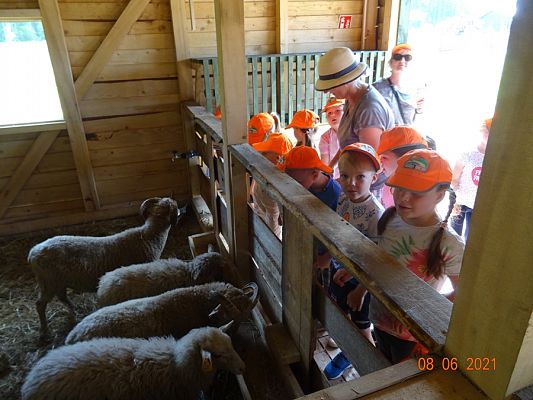 Grafika #6: Wycieczka na Farmę Alexa cz. I