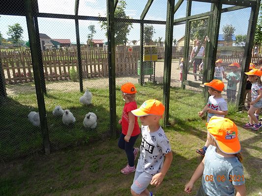 Grafika #22: Wycieczka na Farmę Alexa cz. I