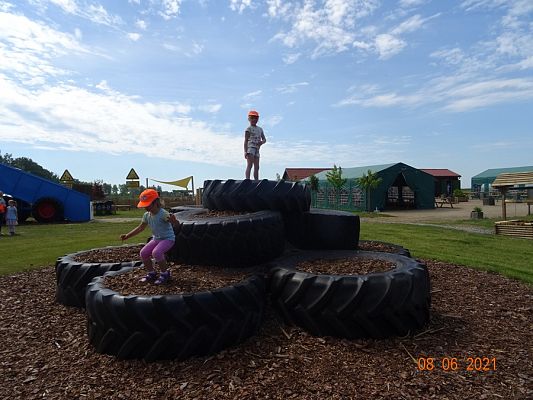 Grafika #6: Wycieczka na Farmę Alexa cz. II