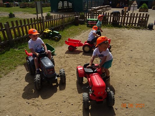 Grafika #14: Wycieczka na Farmę Alexa cz. II