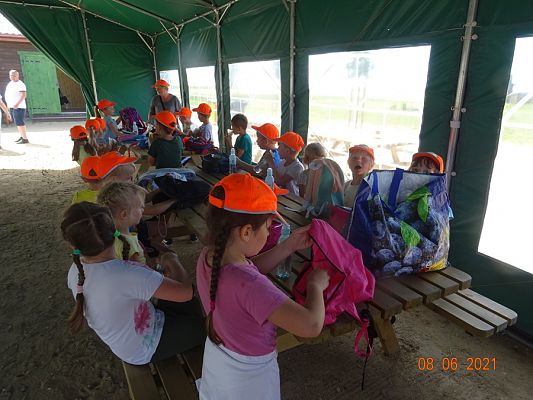 Grafika #22: Wycieczka na Farmę Alexa cz. II