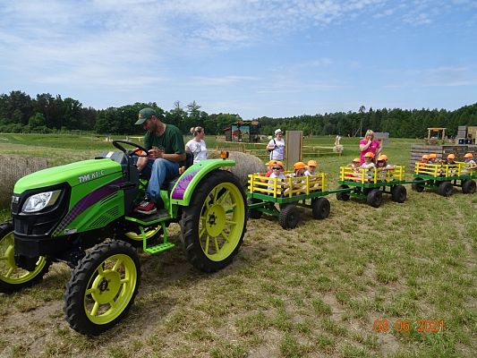Grafika #40: Wycieczka na Farmę Alexa cz. II