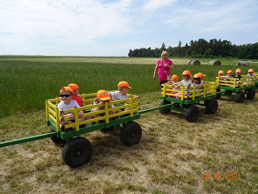 Grafika #41: Wycieczka na Farmę Alexa cz. II
