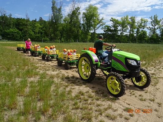 Grafika #43: Wycieczka na Farmę Alexa cz. II