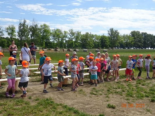 Grafika #1: Wycieczka na Farmę Alexa cz. III