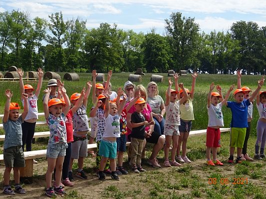 Grafika #3: Wycieczka na Farmę Alexa cz. III